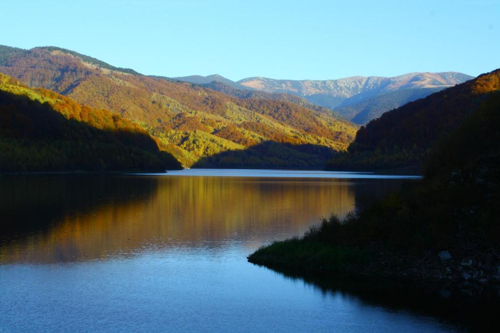 Vila Sucu Otel Poiana Mărului Dış mekan fotoğraf